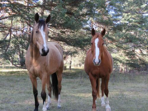 Mon Ecrin De Nature Rez De Villa Ensoleill�
