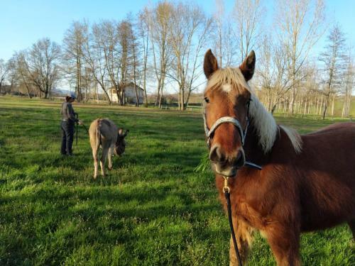 Bed & Breakfast Moulin De Pras