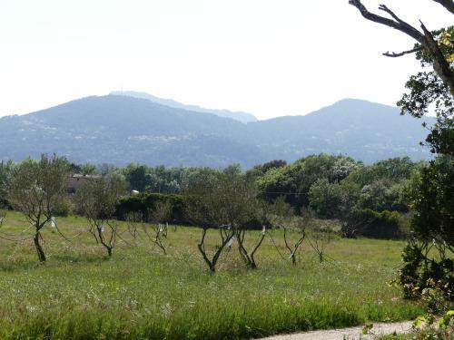 Bed & Breakfast Le Charme D'une Vieille Bastide Proven�ale