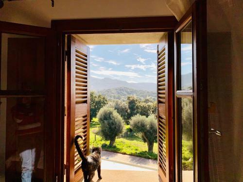 Villa Domaine de Tappa - Casa Filicina