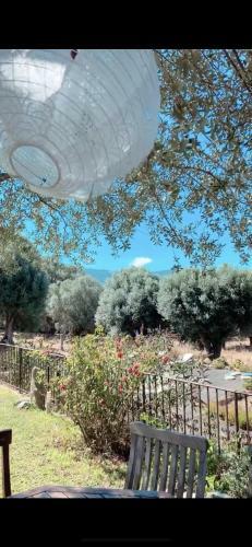 Villa Domaine de Tappa - Casa Filicina