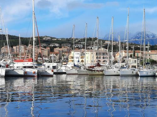 Apartamento Appartement Vue Mer