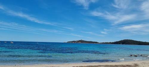 Apartamento Appartement Vue Mer