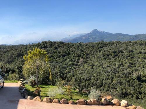 Villa Machja Solenzara