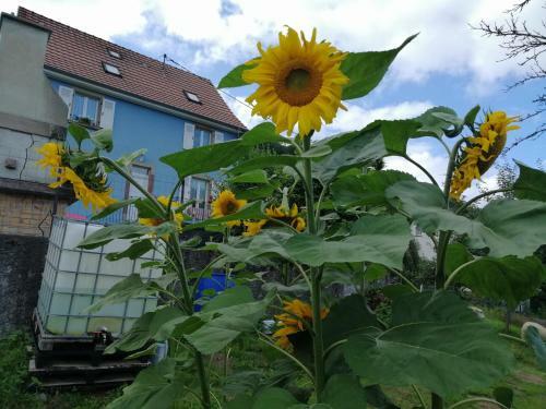 Apartamento Les Locations De St�phanie ,gite Le Verger