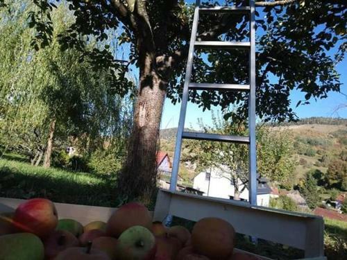 Apartamento Les Locations De St�phanie ,gite Le Verger