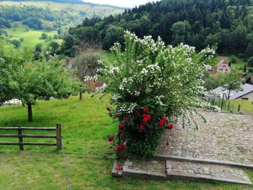 Apartamento Les Locations De St�phanie ,gite Le Verger