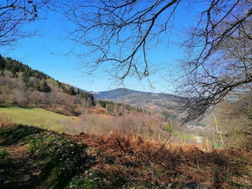 Apartamento Les Locations De St�phanie ,gite Le Verger
