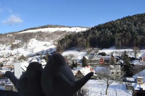 Apartamento Les Locations De St�phanie ,gite Le Verger
