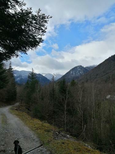 Apartamento Les Locations De St�phanie ,gite Le Verger