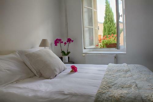 Bed & Breakfast Maison Ila - Le Tresor