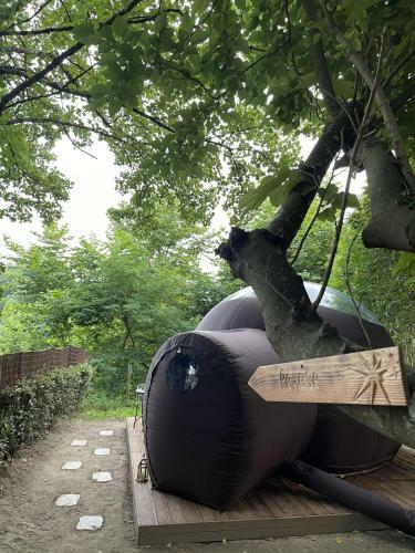 Bed & Breakfast Les Nuits De Cassiopee