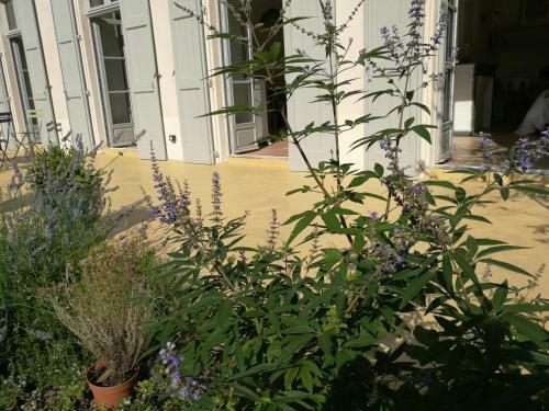G�te Maison De L'abb�