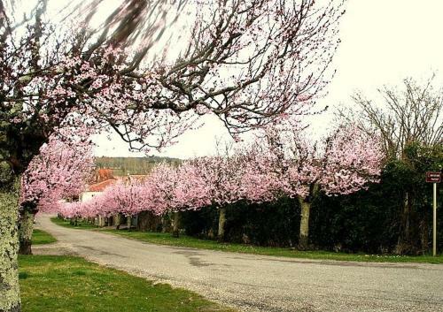 Le Petite Grange Gite