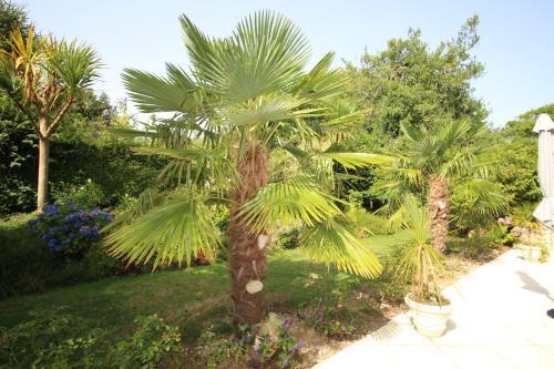 Les G�tes D'etaville