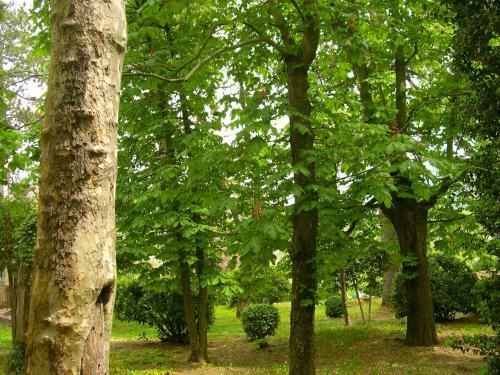 Domaine Du Para�s B&B