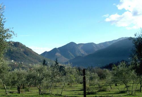 Domaine Du Para�s B&B