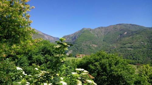 Domaine Du Para�s B&B