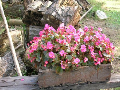 Lodge Caba�as Las Lavandas En Pilar