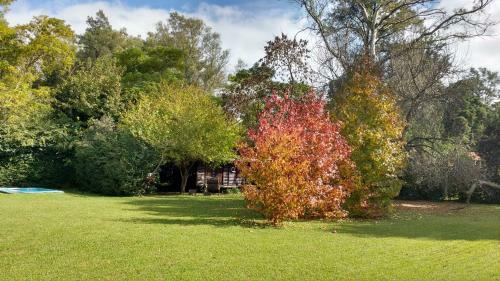 Lodge Caba�as Las Lavandas En Pilar