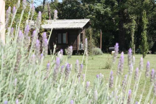 Lodge Caba�as Las Lavandas En Pilar