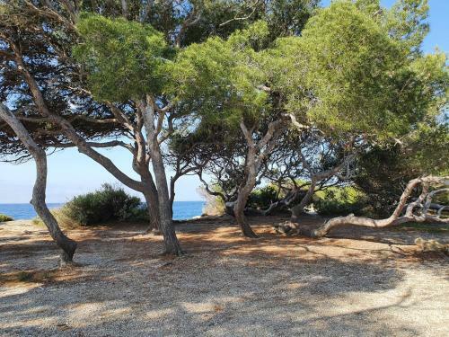 Apartamento Residence Les Pins