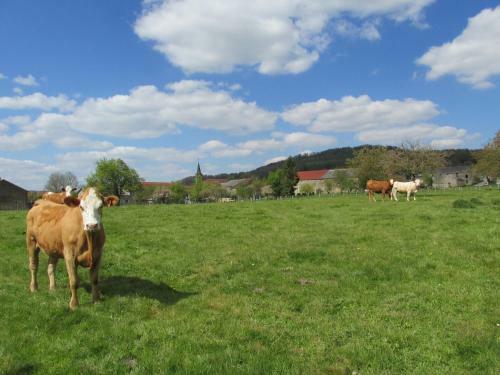 Bed & Breakfast La Taniere Douce
