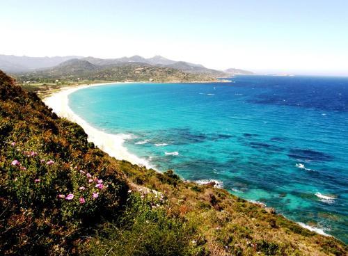 Apartamento N5 Appartement de Vacancorse Maison U Canale