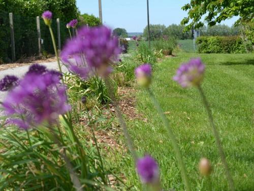 G�te Steenwerck, 3 Pi�ces, 5 Personnes - Fr-1-510-63