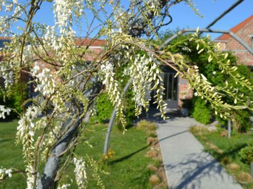 G�te Steenwerck, 3 Pi�ces, 5 Personnes - Fr-1-510-63