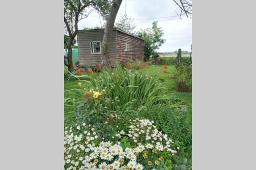 La Pause Nature En Flandre