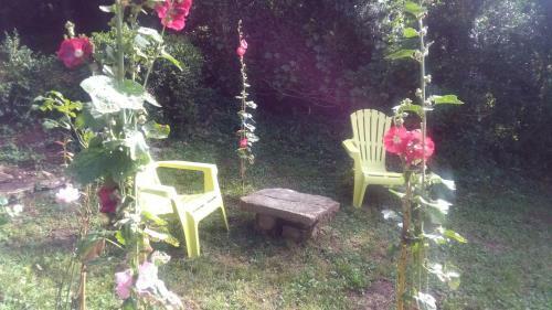 Maison Avec Jardin
