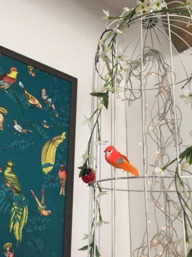 Apartamento Iris La Fleuriste