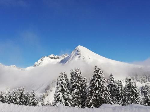 Apartamento Studio � La Montagne - Le Praz De Lys