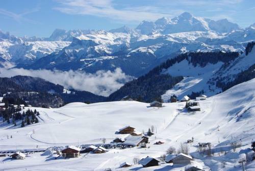 Apartamento Studio � La Montagne - Le Praz De Lys