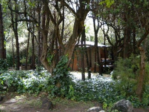 Lodge Domus-san Javier