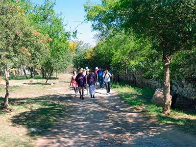 Posada Las Dalias