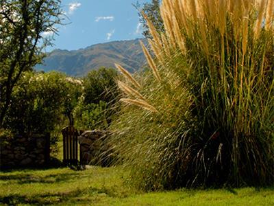 Posada Las Dalias