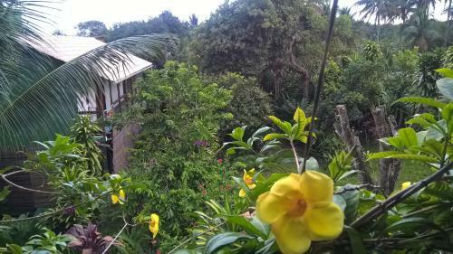 Hostal Recanto Solar Da Paz