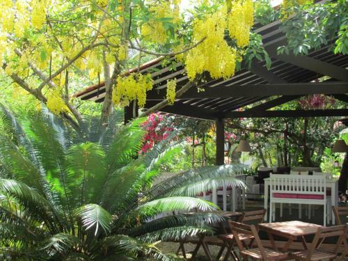 Hostal Pousada A Mangueira