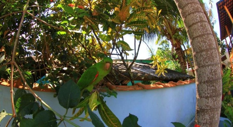 Hostal Pousada Canto Do Dado