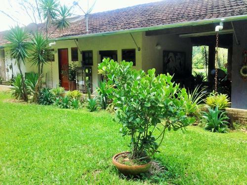 Hostal Hotel Fazenda Terra Ramos