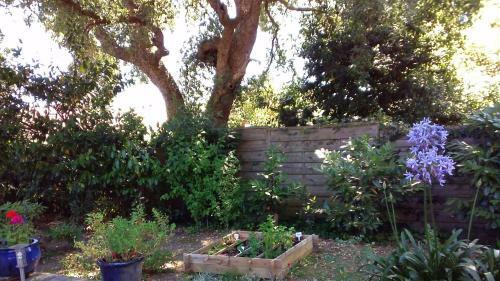 Bed & Breakfast Chambre Priv�e � Tarnos