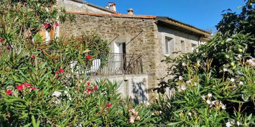 Hostal Dama Jana