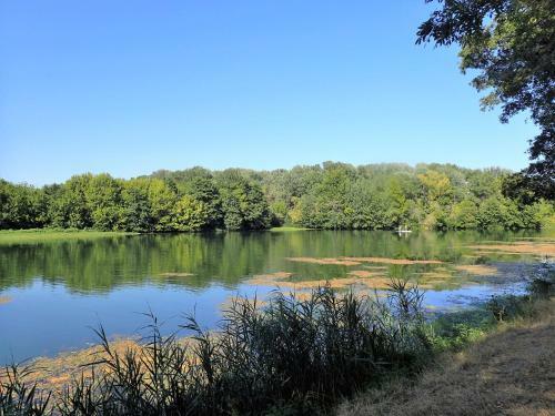 Apartamento Appartement Tarascon
