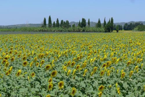 Apartamento Appartement Tarascon