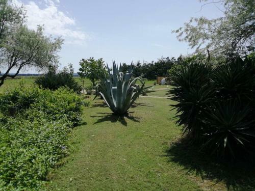 Apartamentos Mas Maurane - Le Romarin