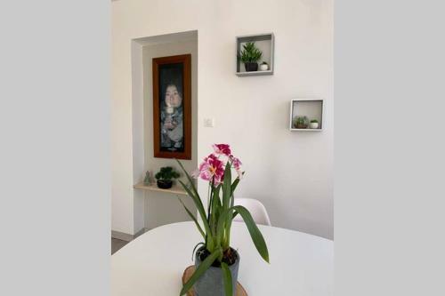 Apartamento T3 Cosy Tarbes Pyr�n�es