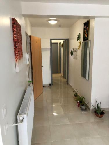 Apartamento T3 Centre Ville Neuve