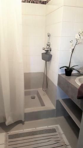 Gite Saint Florent Studio Apartment Parking Gratuit